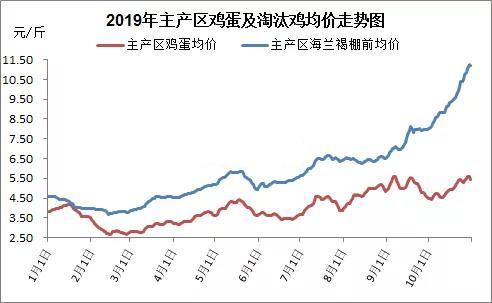 2019年主产区鸡蛋及淘汰鸡均价走势图.jpg